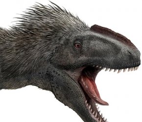 Yutyrannus huali