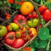Експо на биопродукти от днес