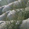 Към 2020 година България трябва да рециклира минимум половината от битовите отпадъци. Това решиха депутатите при второто четене на Закона за управление на отпадъците. С приетите промени се очаква да намалеят кражбите на черни и цветни метали и изкупуванет