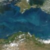 Черно море