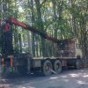 Секачите на дърва се движат с предимство