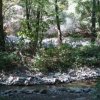 Фекални води пълнят река Бистрица в благоевградския парк Бачиново