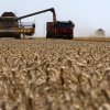 Сушите оказват сериозен натиск върху световните зърнени пазари