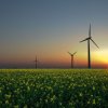 29% спад на инвестициите в зелена енергия 