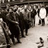 От Виена до Йоханесбург: 25 години „Четири лапи”