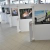 Четири лапи откри изложба със снимки на Летище София