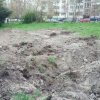 Битката на кв. Младост за спасяване на дърветата