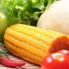 Изнасяме 95% от произведените у нас биопродукти