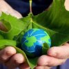 ДАНС: Зелените централи се използват за пране на пари