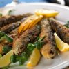 Цацата в Черно море - на изчезване