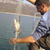  Инспектори с проверки за нерегламентиран риболов по р. Дунав, Марица и Черно море