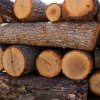   117 000 домакинства вече са се снабдили с дърва за огрев 