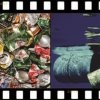 Програма на "Зелени" филми в София с вход свободен