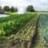Брюксел ще отпусне 15 млрд. евро за развитие на екоземеделието