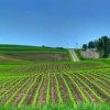 КС отмени мораториума върху продажбата на земя на чужденци