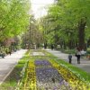 Първа копка от ремонта на Цар Симеоновата градинка в Пловдив