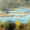 Отпускат над 4 млн. лева за поддръжка на резерватите Сребърна и Бели Лом