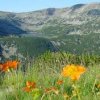 Две министерства се съдят заради  Асоциация на парковете в България