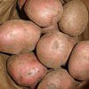 Цели картофени масиви в Родопите са заразени с мана