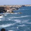 Зелените оправят заменките по морето чрез парк Черноморие