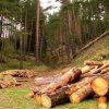 Синята планета внесе жалба срещу проверката за сеч в Ботевградско
