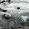 Започва кампания за опазване на реките в България
