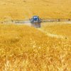 Пестицидите тровят и водните организми