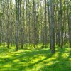 19 еко-начинания получиха по 1000 евро