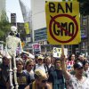 Хиляди по света протестираха срещу ГМО и Монсанто
