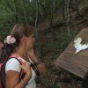 Нов маршрут проследява горските прилепи в Странджа