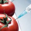 Отваряме границата за 58 вида американски ГМО продукти