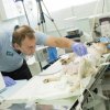 Мина успешно трансплантацията на кожа в клиниката на Четири лапи