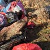 Гранични полицаи в бракониерската дружинка за диви прасета на Варвара