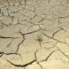 Заработи най-голямата система за добив на вода от въздуха в Мароко