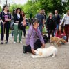 Кучетата в Пловдив тръгнаха на училище