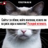 Четири лапи настоява за правила при онлайн търговията с животни