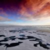 50 учени тръгват на мисия да изследват Земята чрез Антарктика