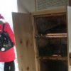    Откриват Музей на пчелата до метростанция Г. М. Димитров