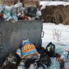 Над 450 бона глоби за боклук, кола в тревата и нерегистрирано куче