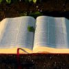 Зелената кампания Книги за смет се завръща