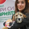   16 кучета намериха нов дом в кампанията Подари си приятел