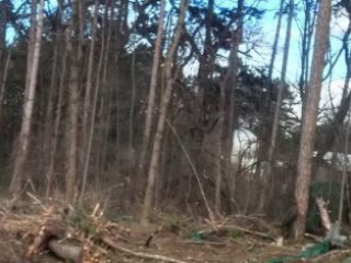 Фандъкова глоби Вълка 50К: унищожил е 20 дървета в Борисовата градина