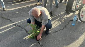 Садят в новоасфалтирания от ППДБСС преди 35 дни бул. Патриарх Евтимий: Фото на деня