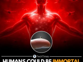 Безсмъртие до 2030? Бъдещето според Рей Кърцвейл