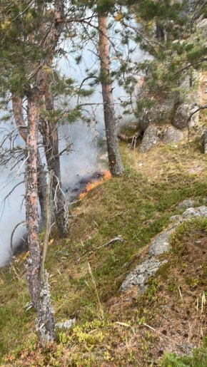  Продължават усилията на огнеборците за овладяване на пожара в Национален парк "Рила", предаде БНР.  Все още има активно горене във високата част на планината, но огнищата се атакуват от две страни.   Пожарникари и служители на националния парк с пожарна 