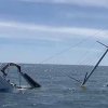 Косатките нападат туристическите лодки, защото си играят