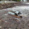 Ограничават достъпа до Елените