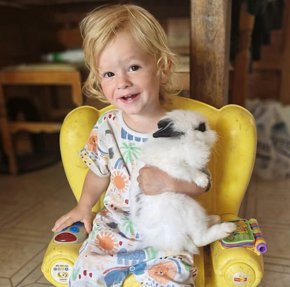 2-годишно дете загина, разкъсано от семейния питбул