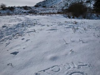Затварят пътищата към Витоша за коли от 10.00 до 15.00 часа през уикенда