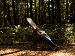 Горската баня засилва имунната система и помага на организма да се бори с рака